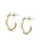 Orecchini trussardi concept [fa8dff2b]