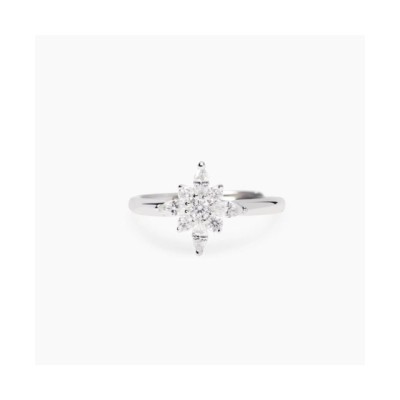 Anello in argento con stella polare e zirconi bianchi [1aadfd4f]