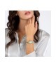 Orologio morellato dafne R0153175513 [a4aaeb23]